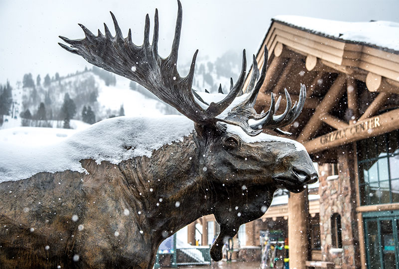 Iconic moose at Snowbasin Resort