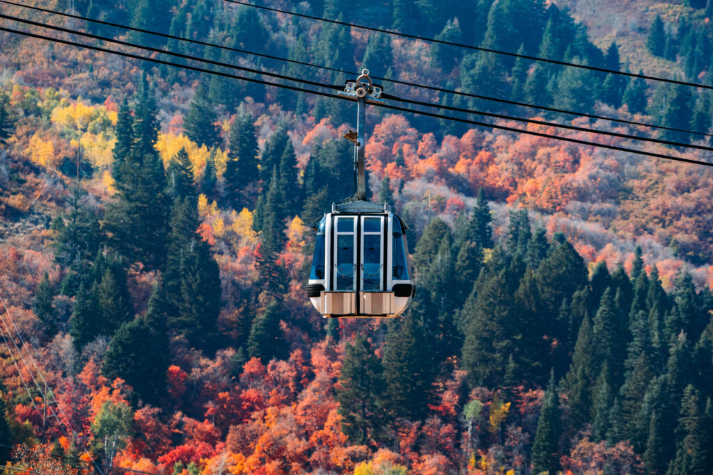 gondola fall colors